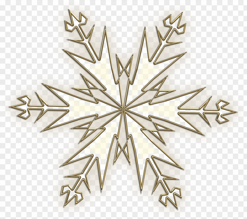 Snowflakes Christmas Ornament Decoration Tree Twig PNG