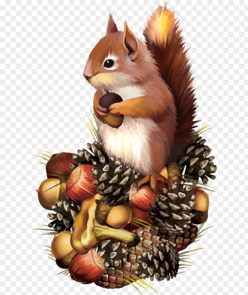 Vector Squirrel Chipmunk Clip Art PNG