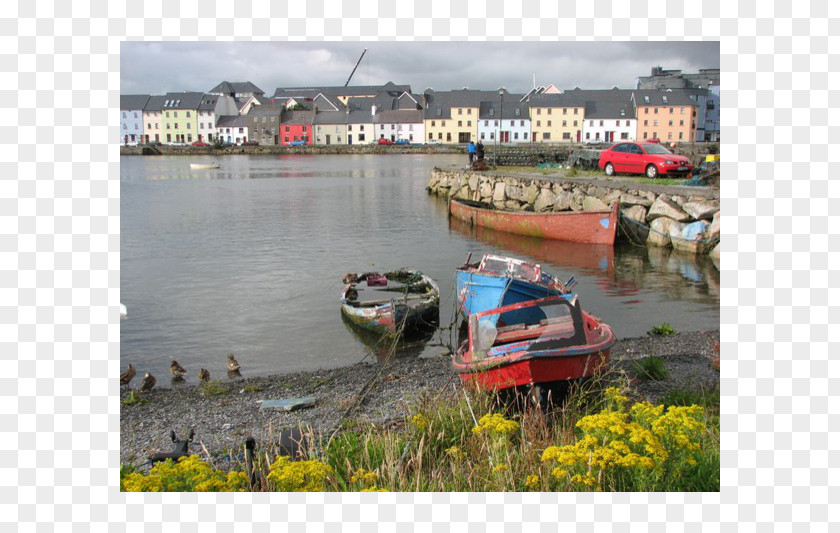 Boat Water Transportation Galway Plant Community Waterway PNG