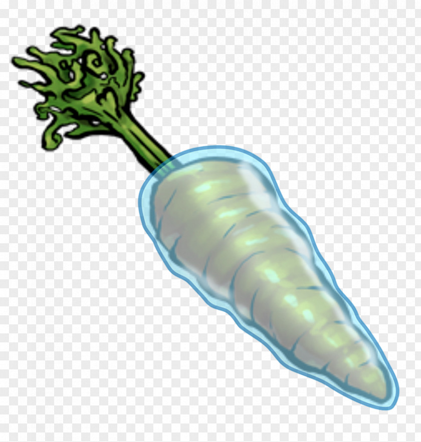 Carrot Clip Art Vegetable PNG
