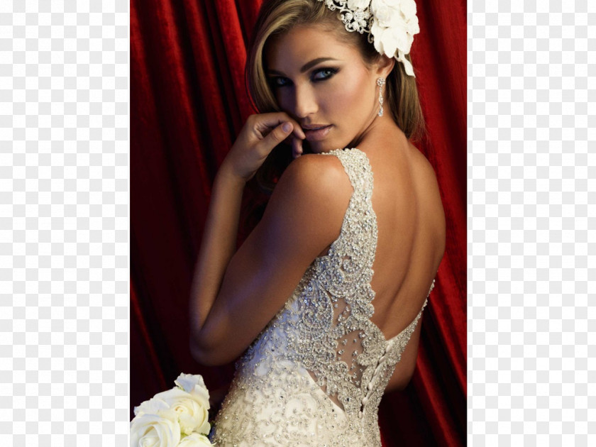 Dress Wedding Gown Décolletage PNG