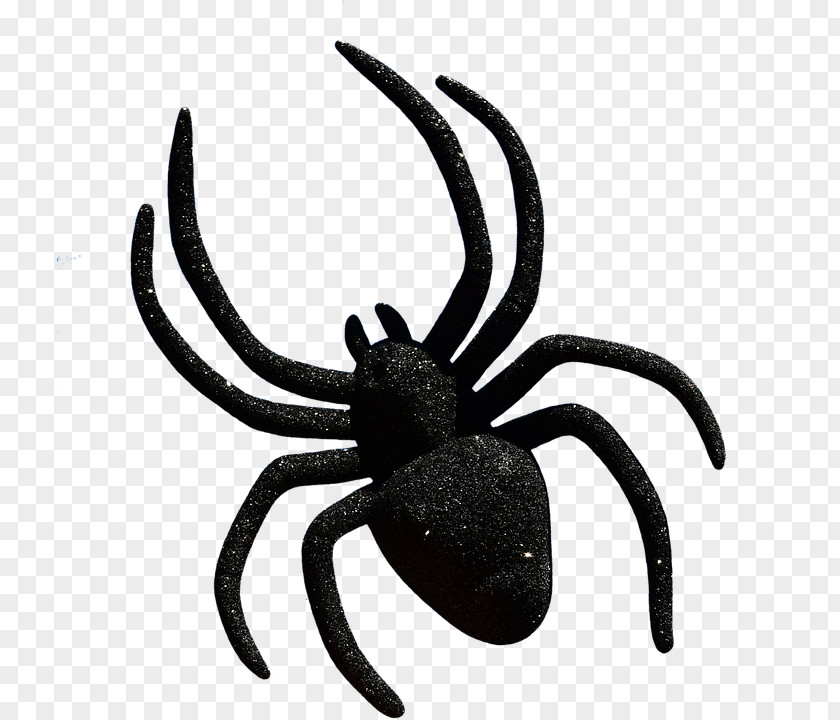 Spider Widow Spiders Clip Art Halloween Image PNG
