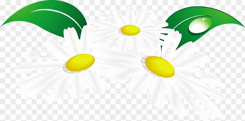 Yellow Green Fruit PNG