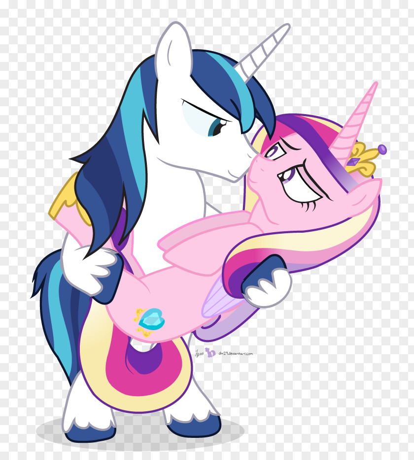 Youtube Twilight Sparkle Princess Cadance YouTube Pony Flash Sentry PNG