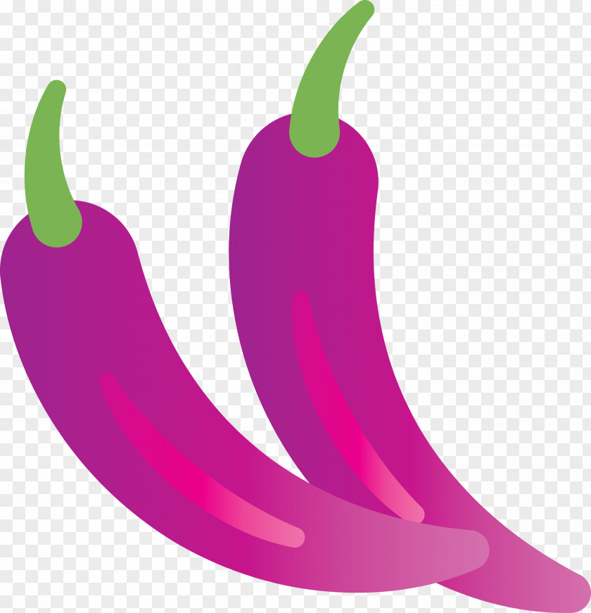 Chili Pepper Pink M Bell Meter Fruit PNG