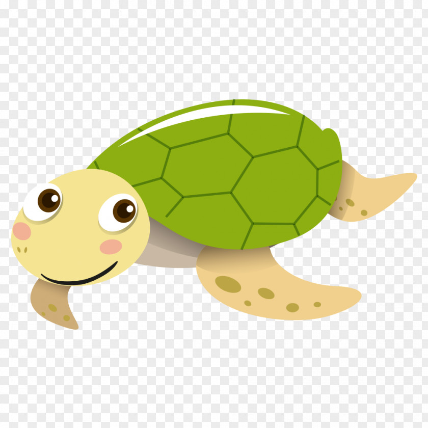Cute Tortoise Sea Turtle Vector Graphics PNG
