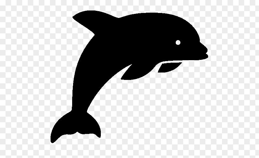 Dolphin Porpoise Common Bottlenose Tucuxi PNG