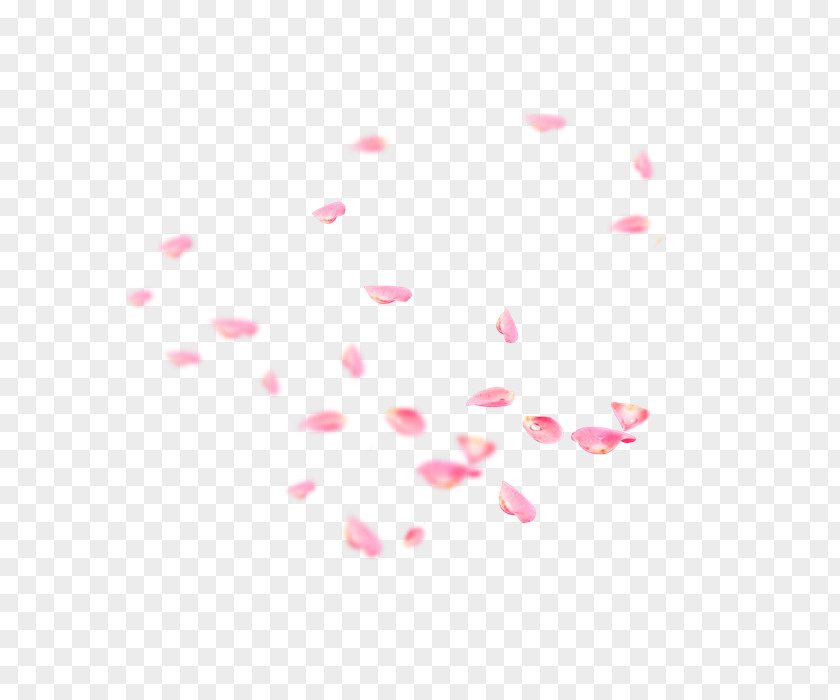 Falling Petals Petal Flower PNG