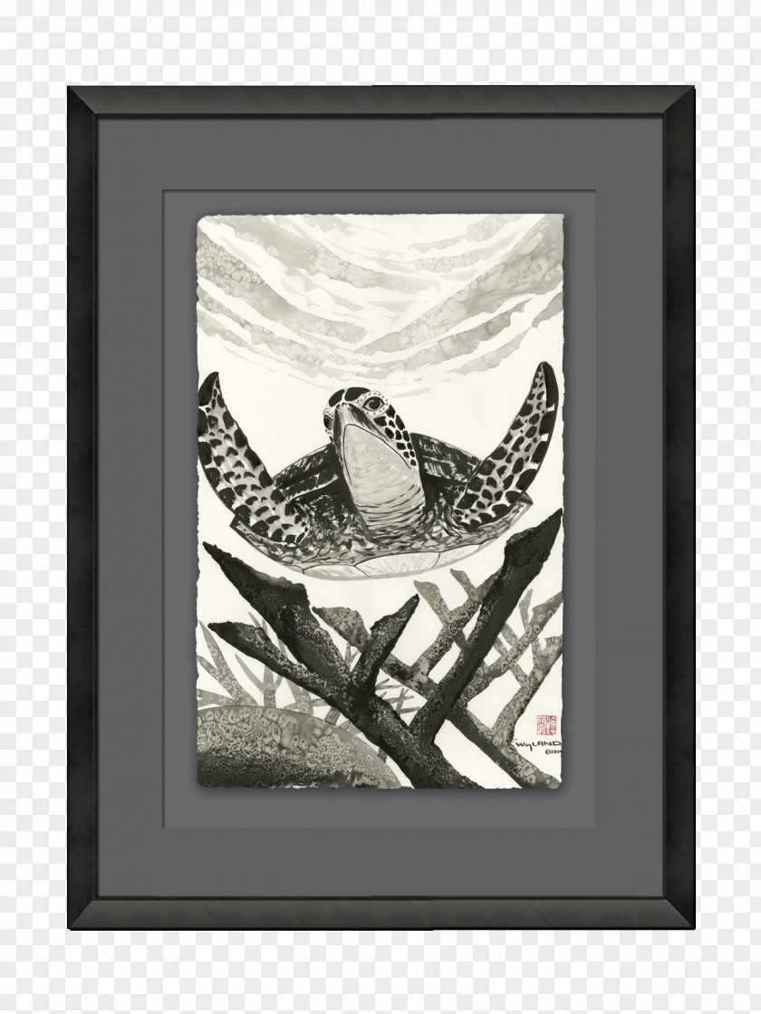 Feather Visual Arts Picture Frames Pattern PNG