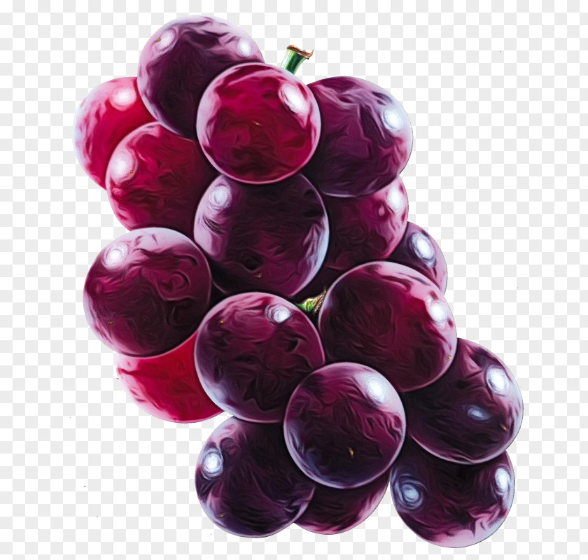 Berry Vitis Grape Fruit Seedless Grapevine Family Food PNG