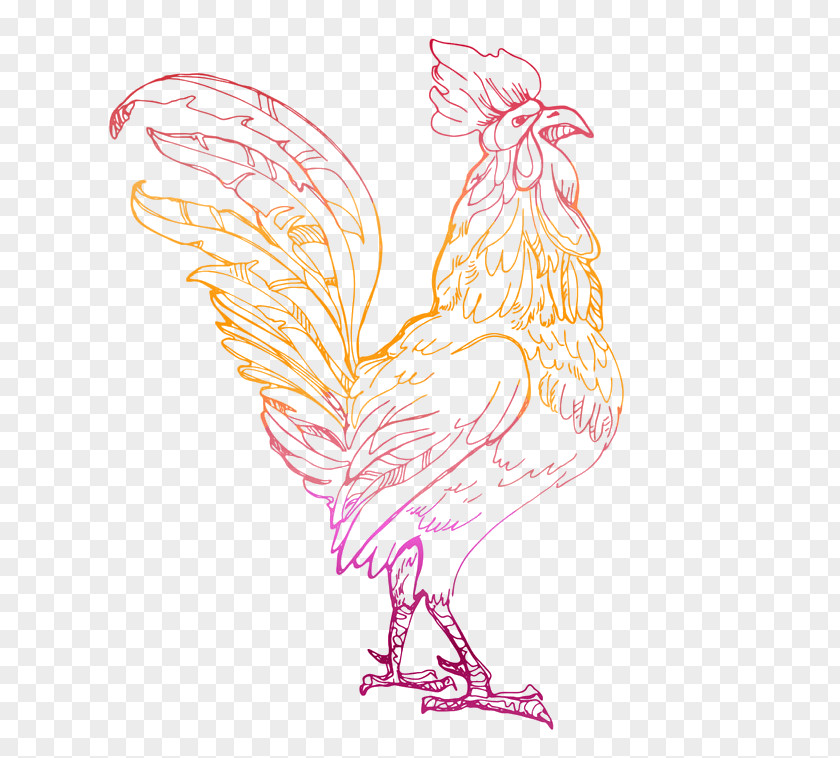 Chicken Rooster Bird Comb Beak PNG