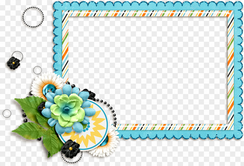 Flower Frame Picture Frames Floral Design Petal PNG