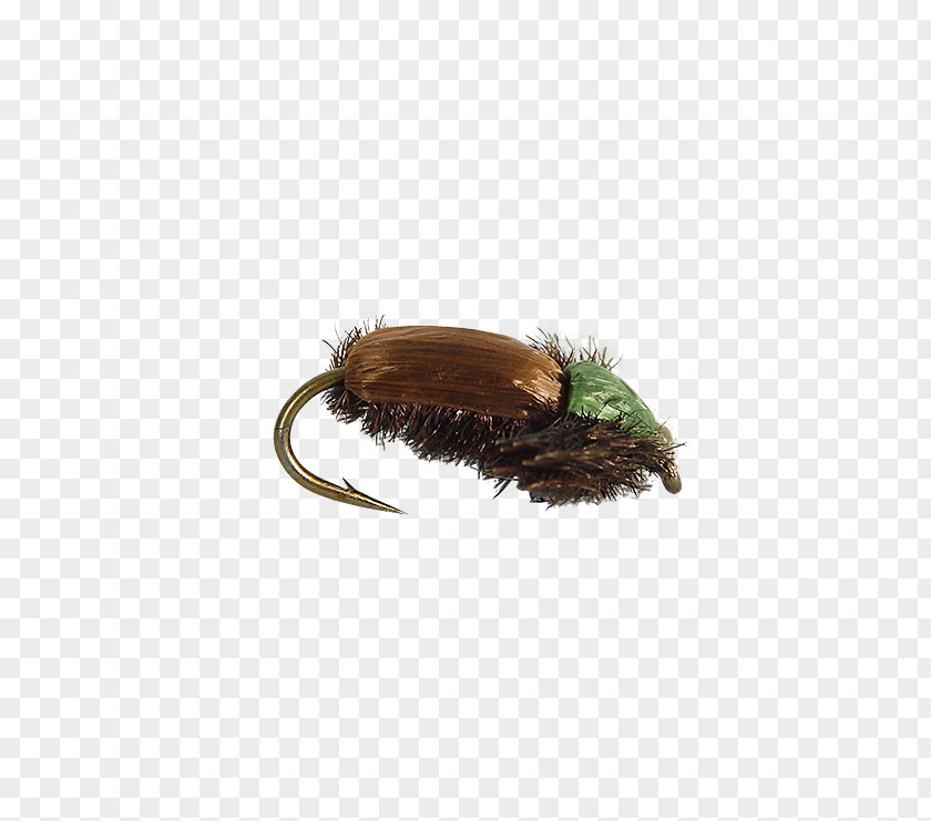 Insect Fly Fishing Artificial Elk Hair Caddis PNG