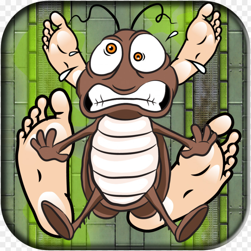 Cockroach Insect Fiction Invertebrate Animal PNG