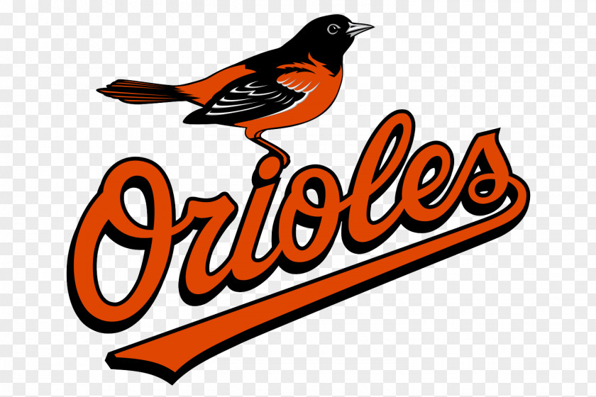 Crossed Baseball Bats Symbol Baltimore Orioles Logo MLB Vector Graphics PNG