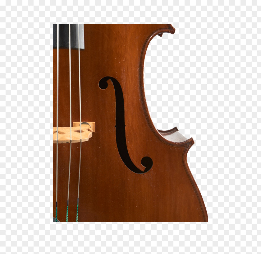 Double Bass Violin Violone Viola Octobass PNG