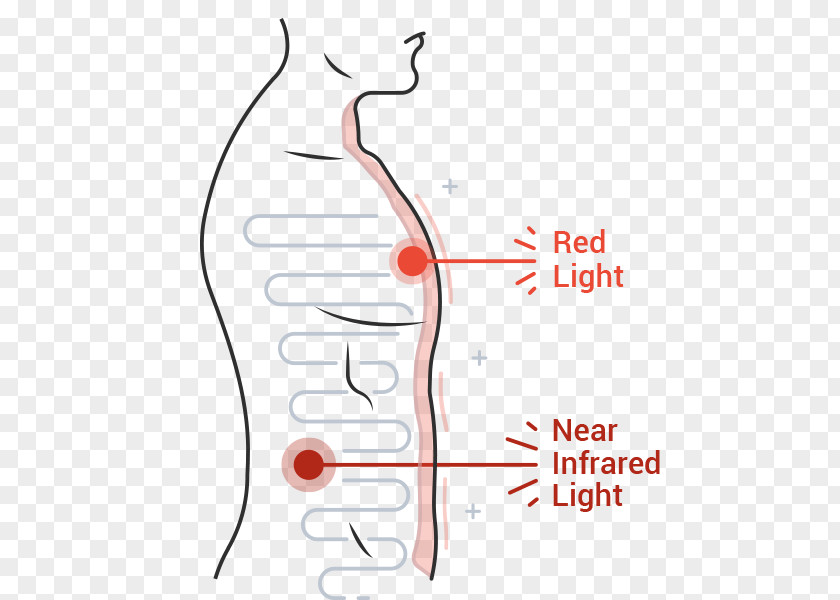 Light Body Therapy Infrared PNG