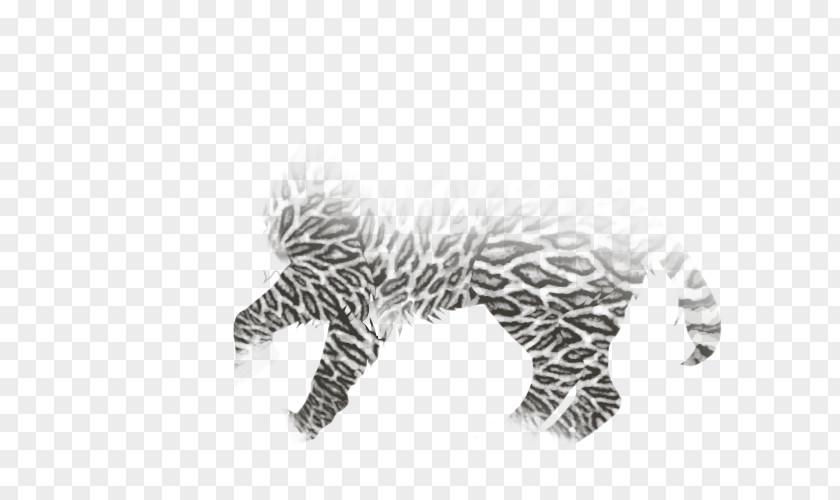 Lion Marozi Cheetah Big Cat PNG