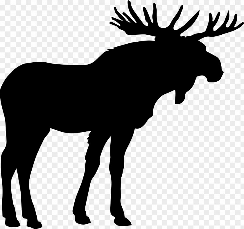 Moose Elk Clip Art PNG