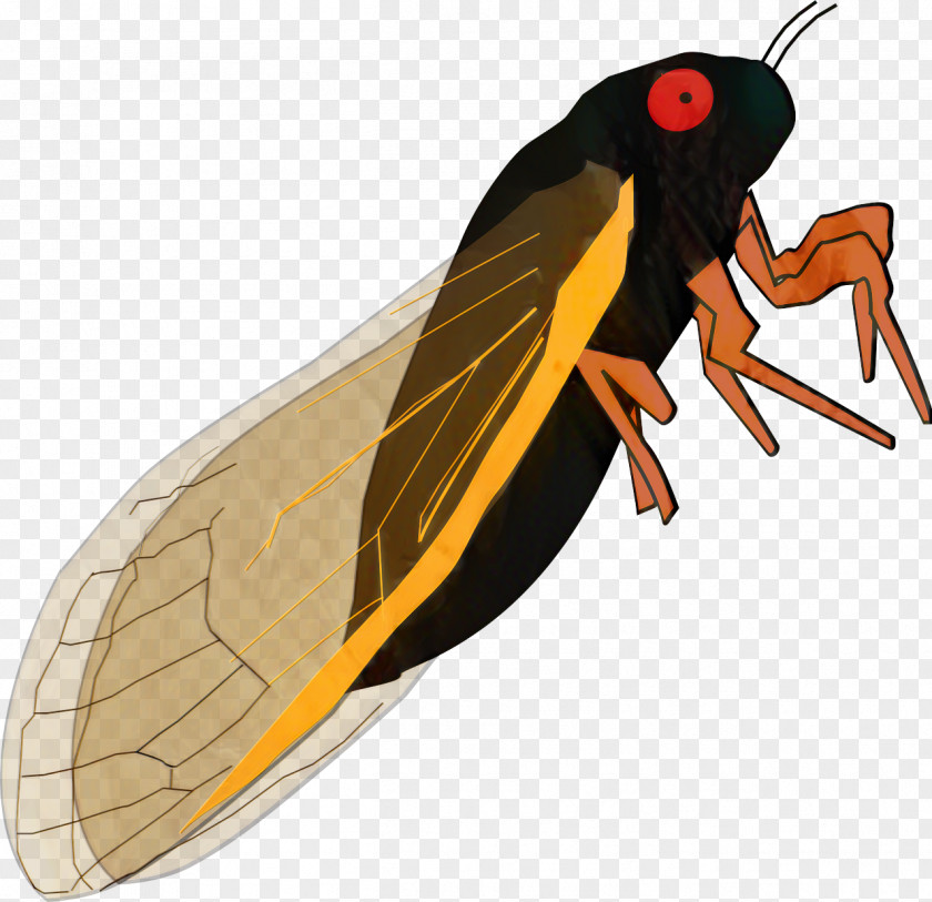 Wing Termite Butterfly Cartoon PNG