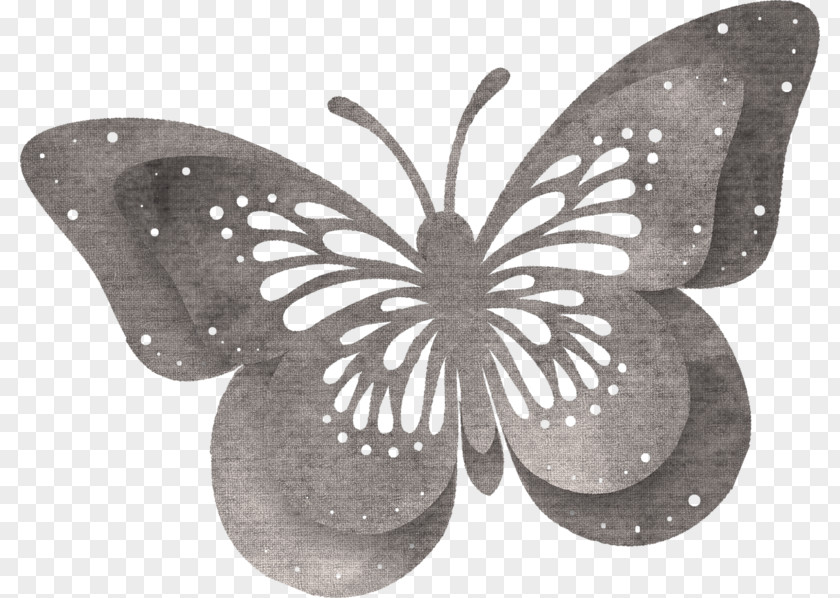 Beautiful Butterfly Papillon Dog PNG