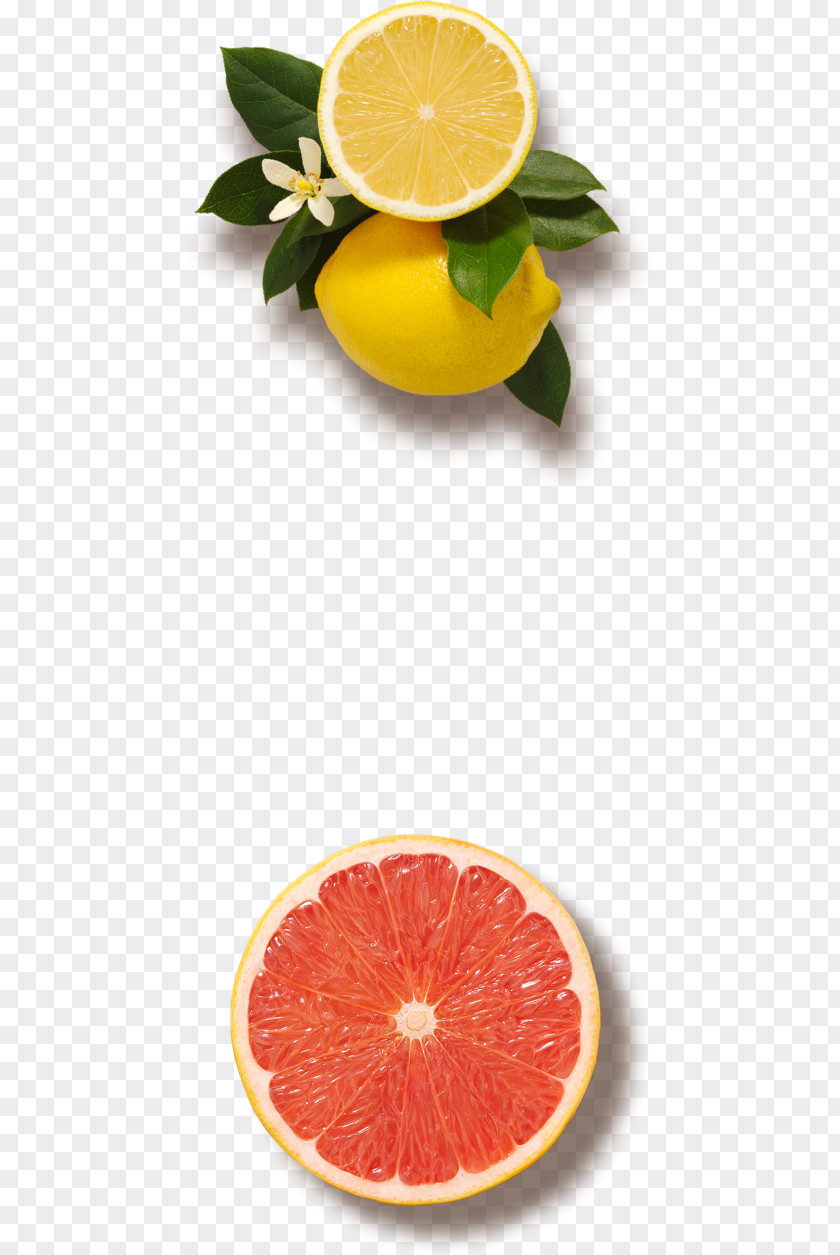 Fresh Salad Blood Orange Grapefruit Juice PNG