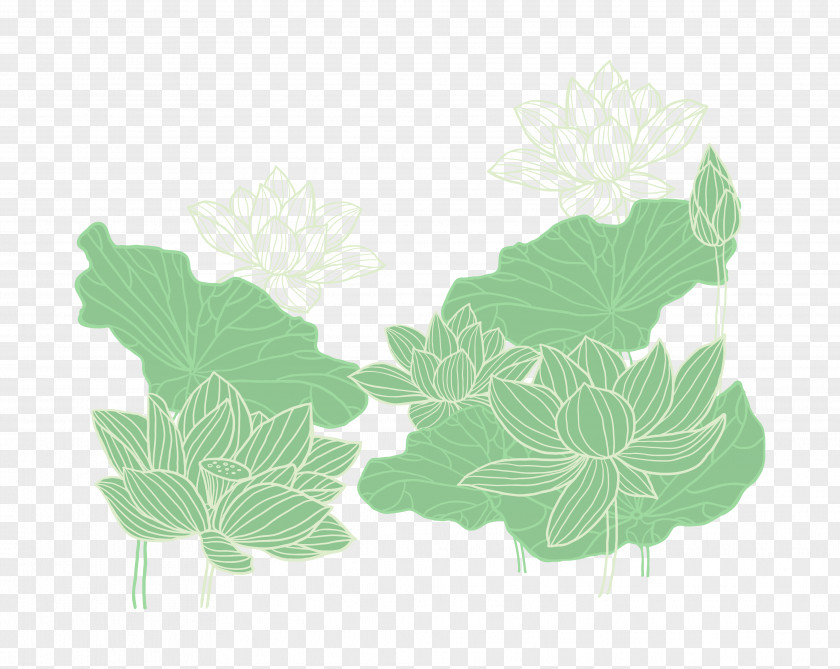 Hand-painted Lotus Vector Nelumbo Nucifera Download PNG