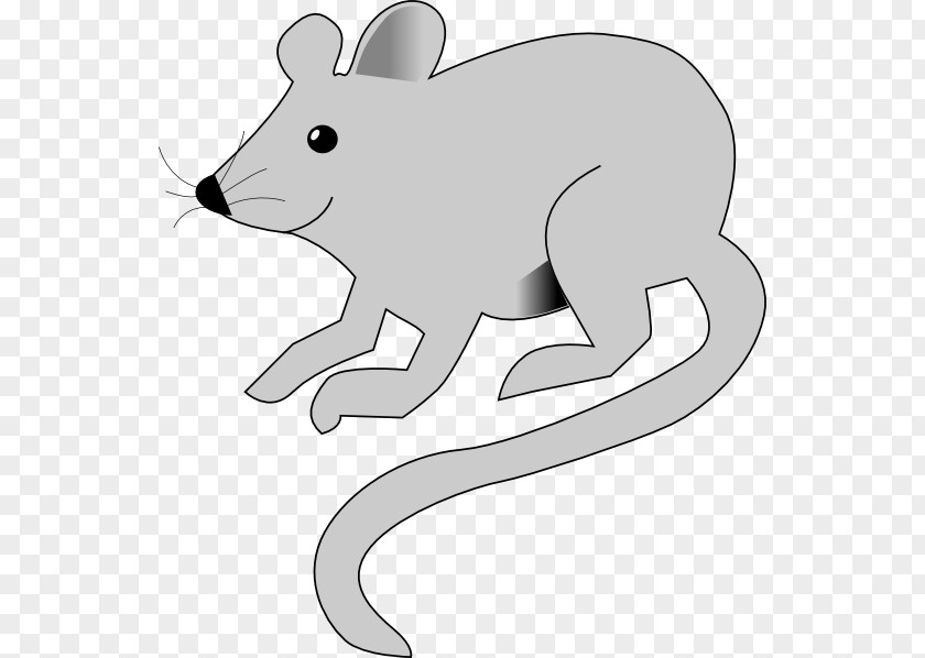 Rat & Mouse Animation Clip Art PNG