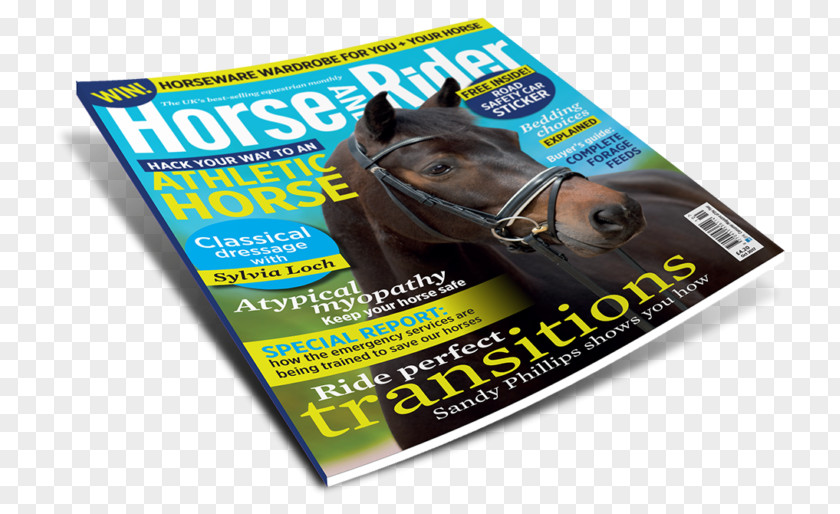Best Seller Magazine Horse Equestrian Advertising Brand Product PNG