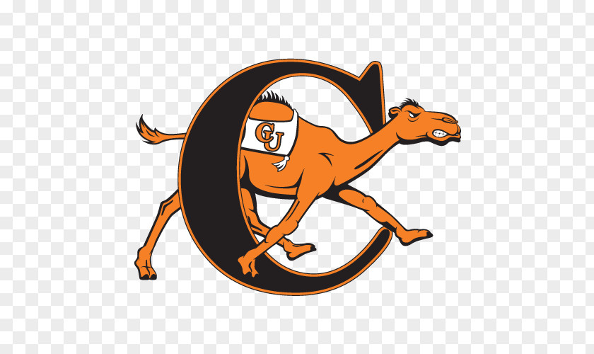 Campbell University Fighting Camels Men's Basketball Women's Longwood Football PNG