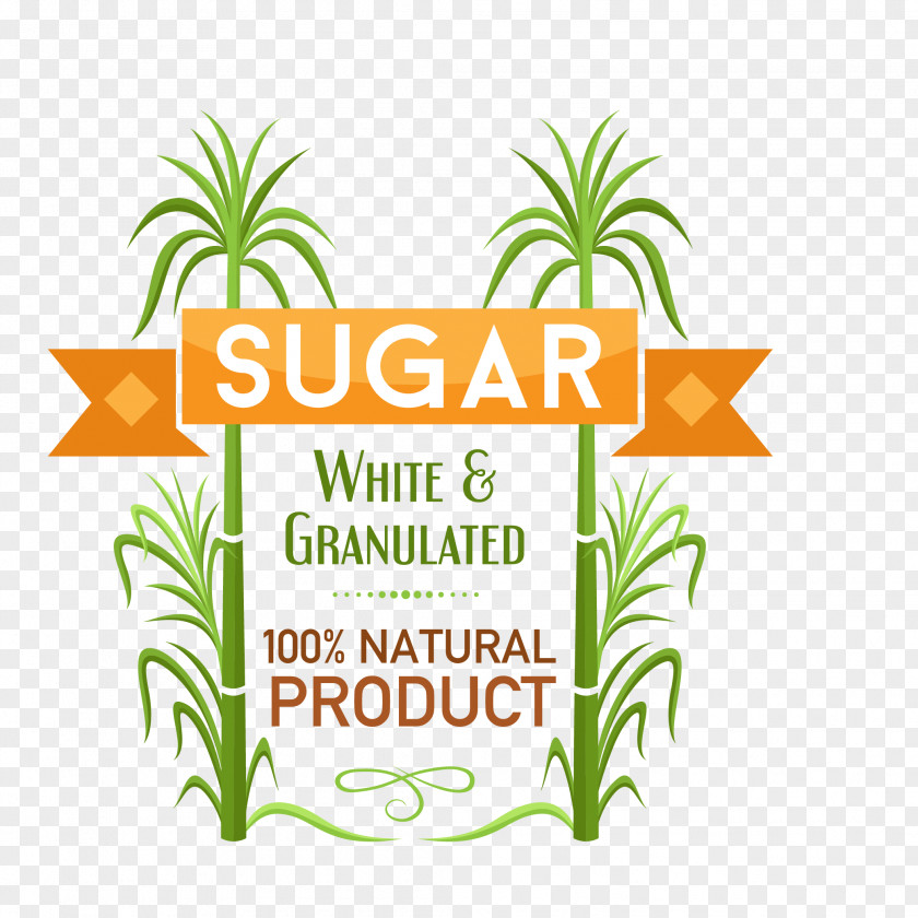 Fresh Sugar Symbol Vector Sugarcane Sucrose PNG