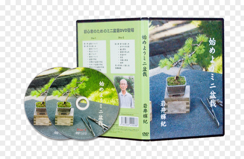 Jaket Bonsai 苔 Crock Plant DVD PNG
