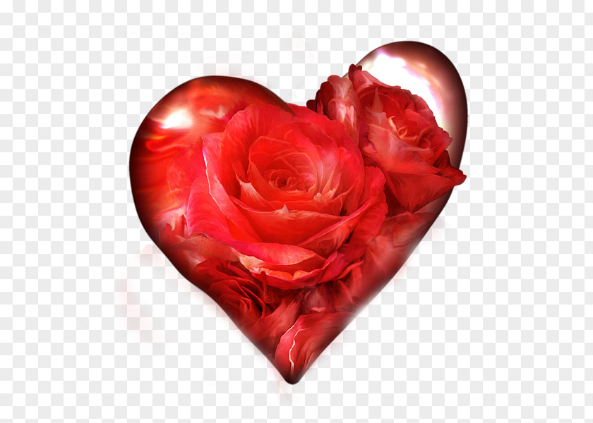 Red Heart Yarn Sale Blue Rose Garden Roses Flower PNG