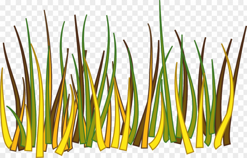 Grass Border Grasses Drawing Clip Art PNG