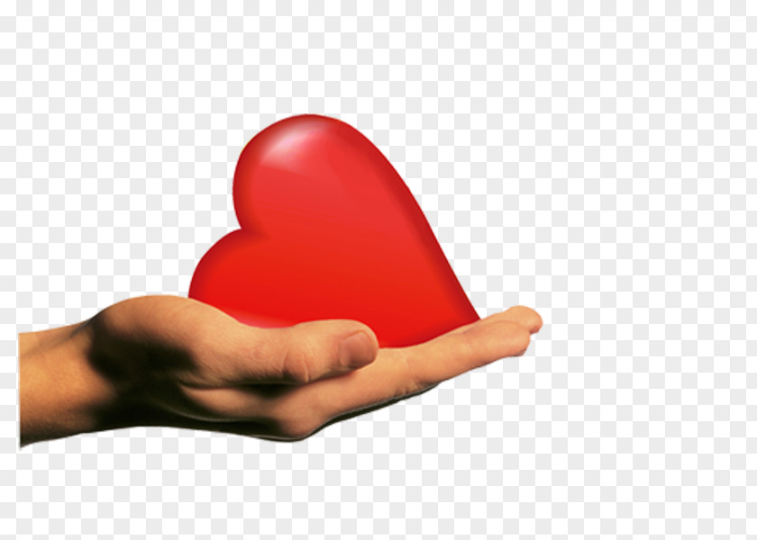 Heart In Hands GIF Desktop Wallpaper Image Clip Art PNG