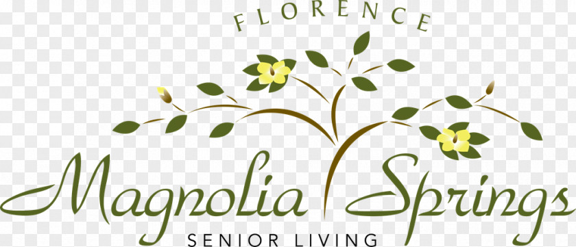 Magnolia Springs Senior Living Of Lexington Drive Assisted Retirement Community Elmcroft Florence KY PNG