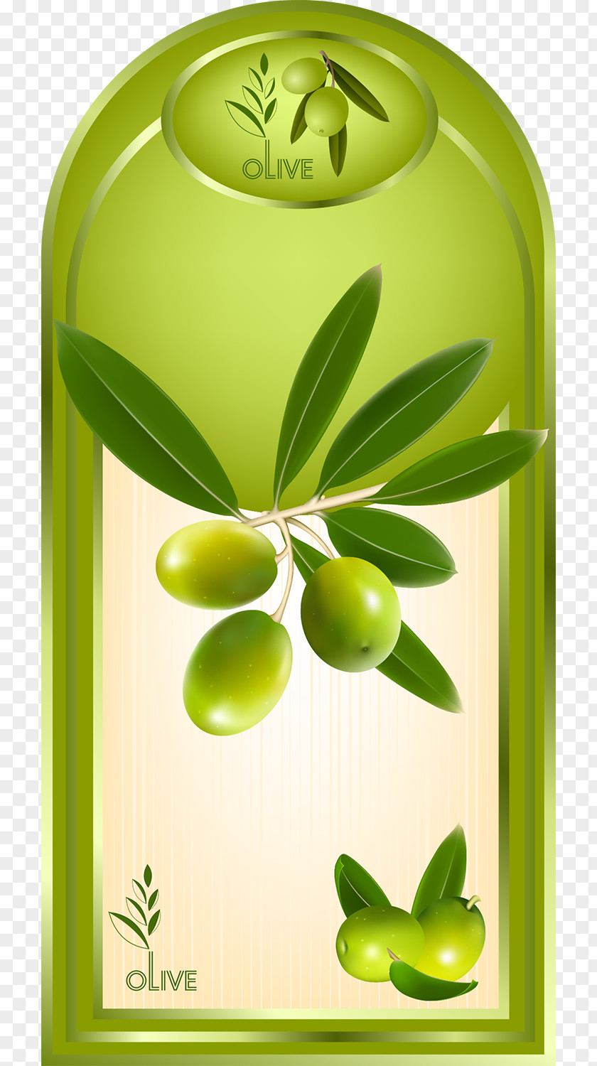 Olive Oil Label Fruit PNG