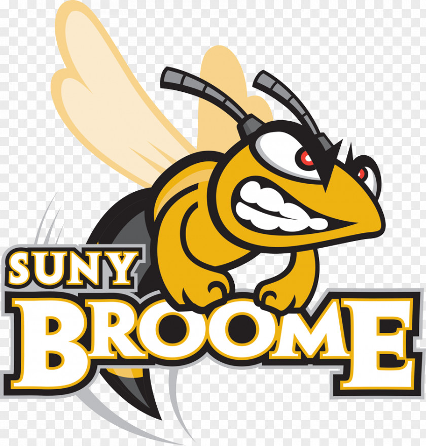 SUNY Broome Community College Binghamton New Summerfield Independent School District University PNG