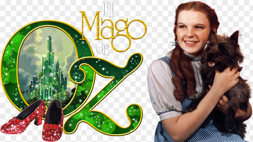 Wizard Of Oz The Wonderful Dorothy Gale Cowardly Lion PNG