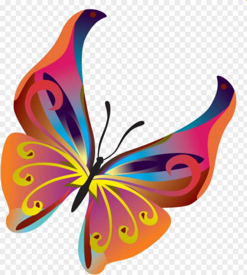 Butterflies Butterfly Clip Art PNG