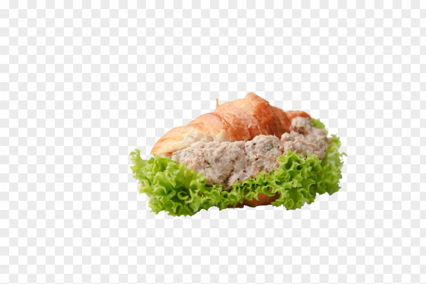 Caterer Catering Big Onion Food Cuisine Dish PNG