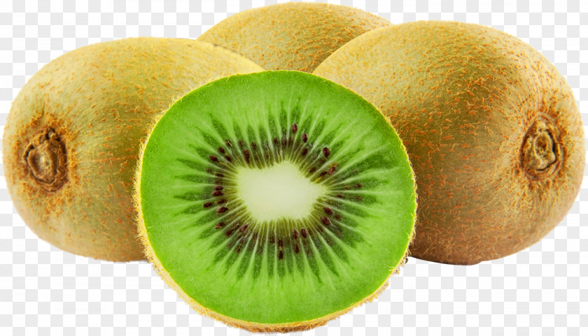 Goldkiwi Clip Art Kiwifruit Image PNG