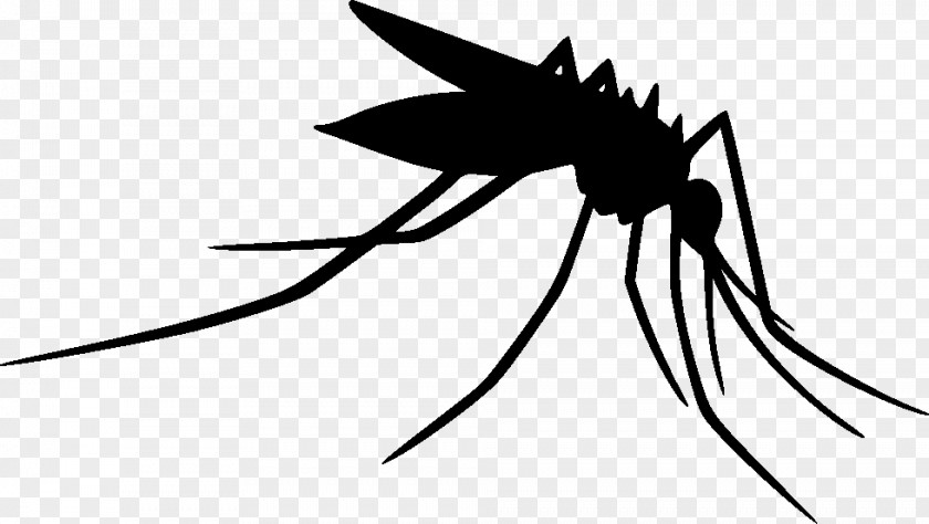 Mosquito Clip Art Insect Silhouette Line PNG