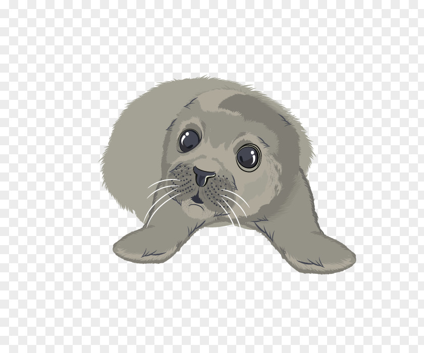 Seal Animal Whiskers Dog Cat Snout PNG