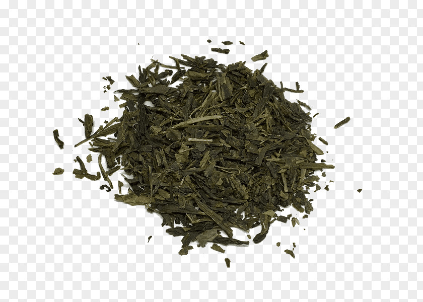 Tea Gyokuro Sencha Nilgiri Oolong PNG