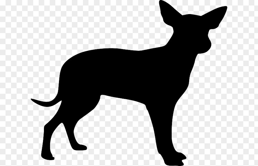 Black Dog Puppy Boxer Bull Terrier Dobermann Chihuahua PNG