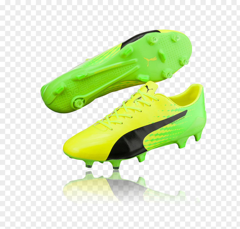 Boot Puma Evospeed 17 Sl S Fg Football Shoe PNG