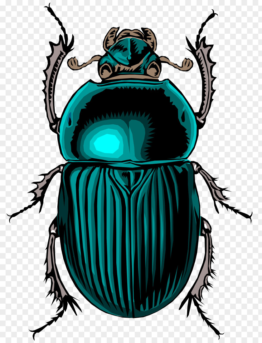 Bug Volkswagen Beetle Dung Clip Art PNG