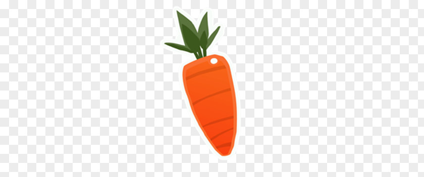 Carrot Slime Rancher Fruit Food Turnip PNG