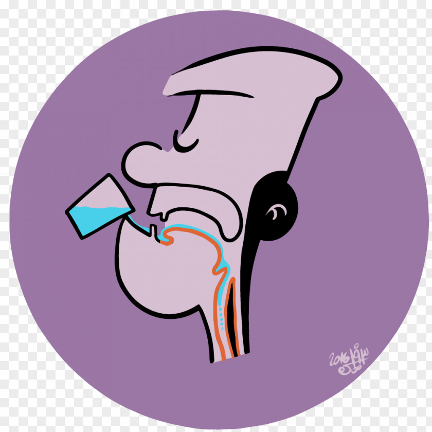 Nose Pharynx Cranial Nerves Muscle PNG